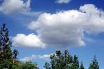daytime, daylight, Cumulus Cloud puff, NWSV19P08_04