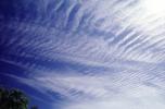 Cirrus Streamers, high altitude clouds, daytime, daylight, NWSV20P15_14