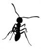 Ant shape, silhouette, OEAD01_010M