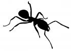 Ant silhouette, shape, OEAD01_027M