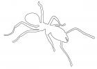 Ant outline, line drawing, OEAD01_027O