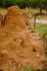 Termite Hill, mound