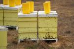 Bee Keeper Hives