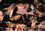 Bee Keeping, Honey Bees, OEBV02P01_12.0357
