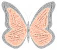 Butterfly in Many Languages, Word Mosaic, Graphic, translations, Wings, Abstract