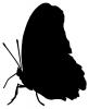 Butterfly Wings Silhouette, shape