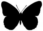 Wings, Butterfly Wings Silhouette, shape, OECD01_183M