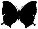 Wings, Butterfly Wings Silhouette, shape, OECD01_185M