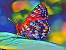 Magical Butterfly of Color, Wings, Abstract