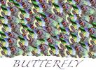 Butterfly Motif, pattern, texture, OECD01_213