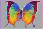 Metaphysical Colorized Butterfly Painting