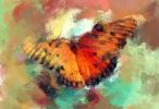 Sponge Painting of a Butterfly