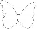 Butterflies, Wings, Butterfly outline, line drawing, shape, OECV02P01_06O