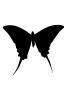 Butterfly silhouette, Wings, Butterflies, logo, shape, OECV02P01_09M