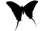Butterfly silhouette, Wings, Butterflies, logo, shape, OECV02P01_10M