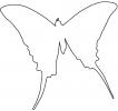 Butterflies, Wings, Butterfly outline, line drawing, shape, OECV02P01_10O