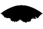 Moth silhouette, Wings, logo, shape