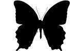 Butterfly silhouette, Wings, Butterflies, logo, shape, OECV02P02_02M