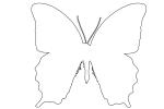 Butterflies, Wings, Butterfly outline, line drawing, shape, OECV02P02_02O