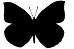 Butterfly silhouette, Wings, Butterflies, logo, shape, OECV02P02_03M