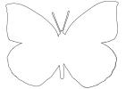 Butterflies, Wings, Butterfly outline, line drawing, shape