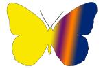 Butterflies, Wings, Butterfly, OECV02P02_05C