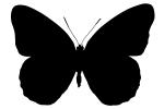 Butterfly silhouette, Wings, Butterflies, logo, shape, OECV02P02_05M