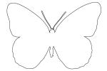 Butterflies, Wings, Butterfly outline, line drawing, shape, OECV02P02_05O