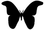 Moth silhouette, Wings, logo, shape, OECV02P06_03M