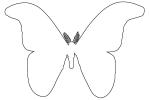 Butterflies, Wings, Butterfly outline, line drawing, shape, OECV02P06_03O