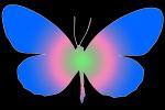 Butterflies, Wings, Butterfly, OECV02P06_04B