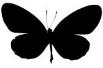 Butterflies, Wings, Butterfly, logo, OECV02P06_04M