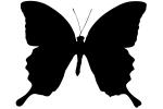 Butterflies, Wings, Butterfly, logo, OECV02P06_06M