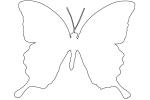 Butterflies, Wings, Butterfly outline, line drawing, shape, OECV02P06_06O