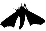 Moth silhouette, Wings, logo, shape, OECV02P08_03M
