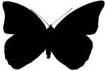 Butterfly silhouette, Wings, logo, shape, OECV02P08_12M