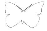 outline, Butterfly, Wings, line drawing, shape