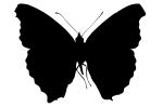 Butterfly silhouette, Wings, logo, shape, OECV02P09_03M