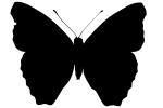 Butterfly, Wings, OECV02P09_04M