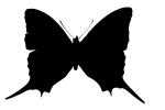 Butterfly, Wings, OECV02P09_05M