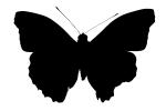 Butterfly silhouette, Wings, logo, shape, OECV02P09_08M