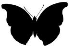 Butterfly silhouette, Wings, logo, shape, OECV02P09_09M