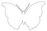 Outline Butterfly, Wings, line drawing, shape
