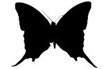 Butterfly silhouette, Wings, logo, shape, OECV02P09_11M
