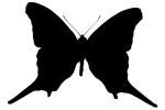 Butterfly silhouette, Wings, logo, shape, OECV02P09_12M