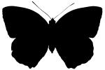 Butterfly silhouette, Wings, logo, shape, OECV02P09_13M