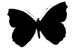 Butterfly silhouette, Wings, logo, shape, OECV02P09_16M