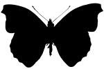Butterfly silhouette, Wings, logo, shape, OECV02P09_17M
