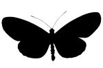 Butterfly silhouette, Wings, logo, shape, OECV02P10_01M