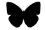 Butterfly silhouette, Wings, logo, shape, OECV02P10_04M